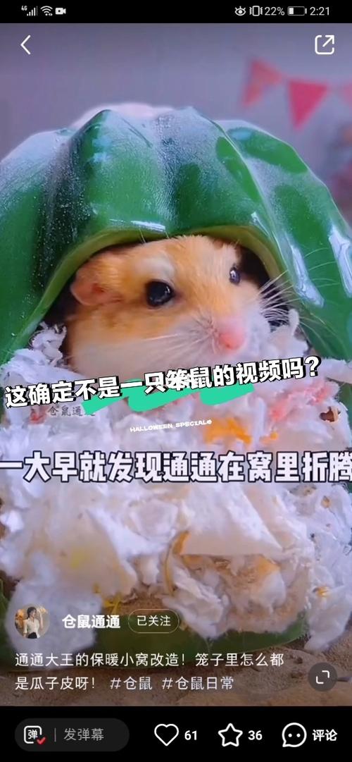 一只笨鼠做下午茶截图