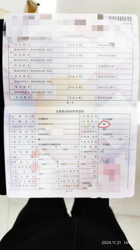 大绿本网上能查到吗缩略图