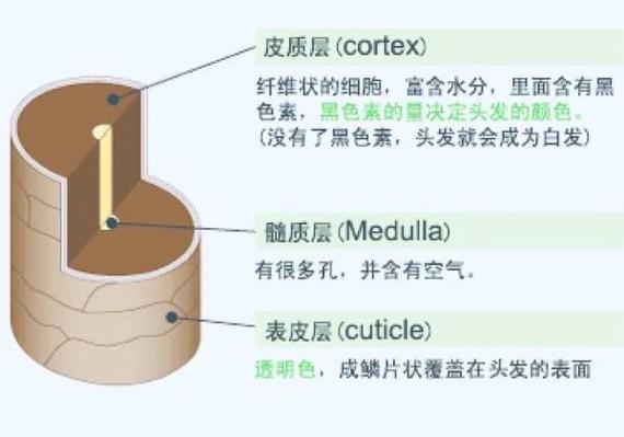 捡到头发是好事还是坏事