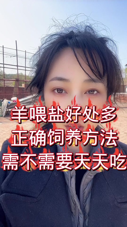 养羊喂盐正确方法
