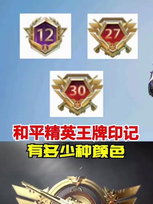 和平精英怎样获得王牌印记截图