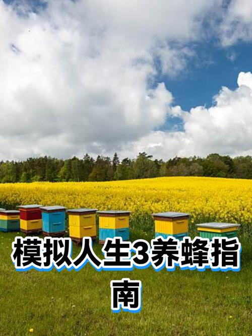 模拟人生3全秘籍代码汇总