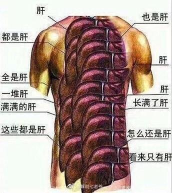 浑身都是肝图截图