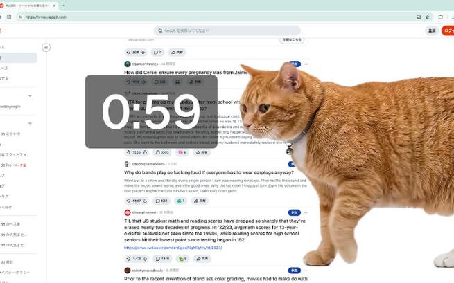 猫咪浏览器安装下载游戏截图