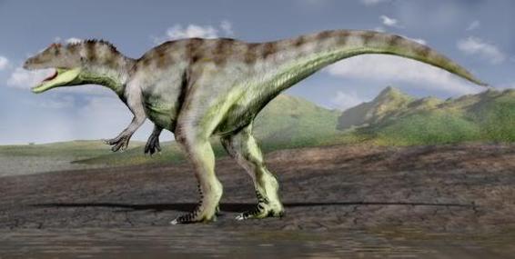 深巴通截图