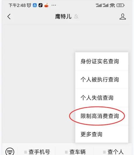 全国法院限高信息公开查询官网截图