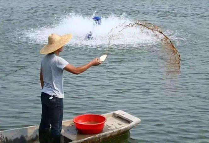 那一汪肥水的流淌消逝的背影热门截图