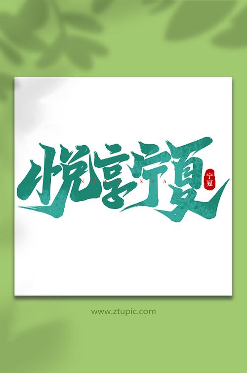 我的宁夏app官方正版图标