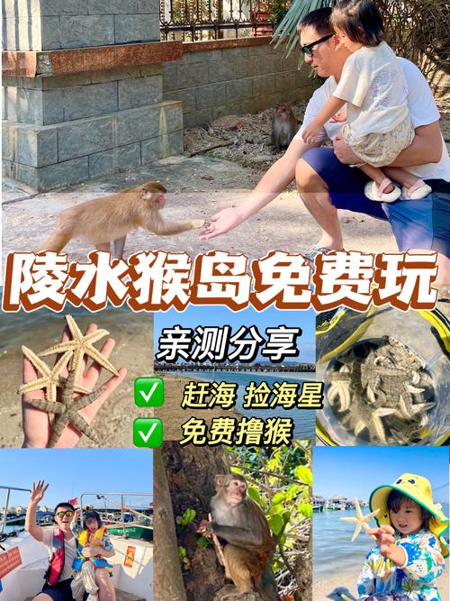 猴开心旅游公司赚钱方式图标