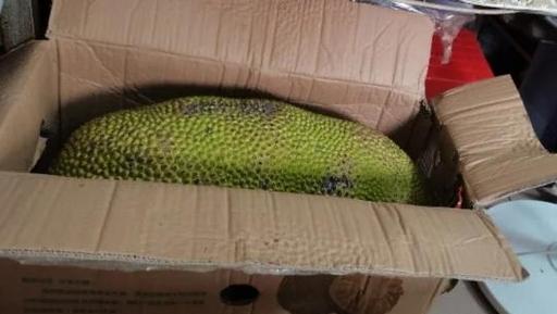 淘宝的关于菠萝蜜短视频截图