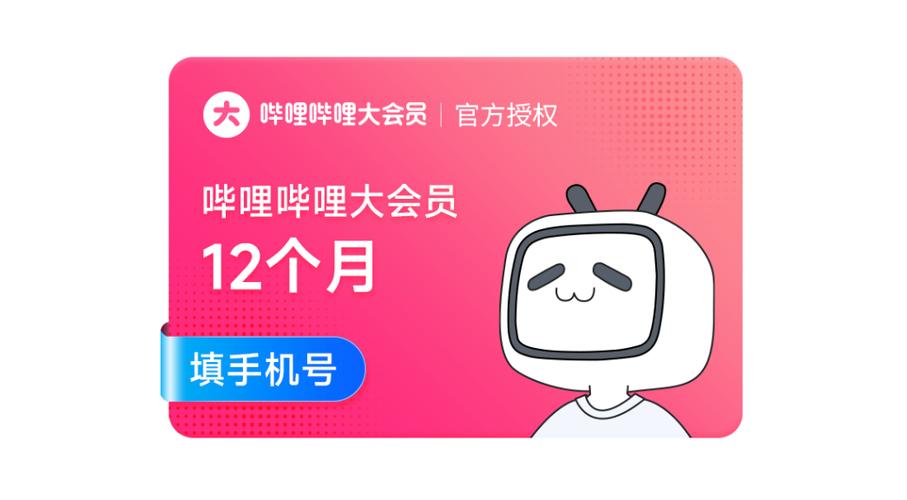 哔哩哔哩VIP视频
