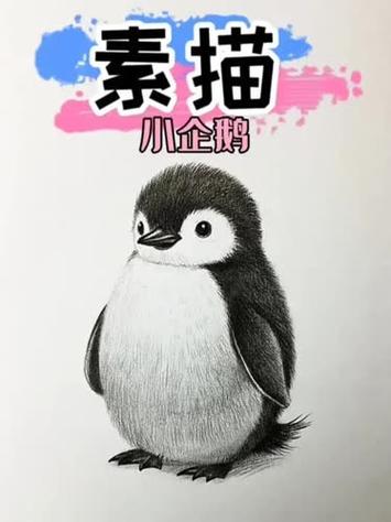 学画画基础入门教程缩略图
