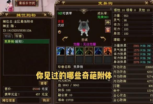逍遥加身法好还是体力好游戏截图