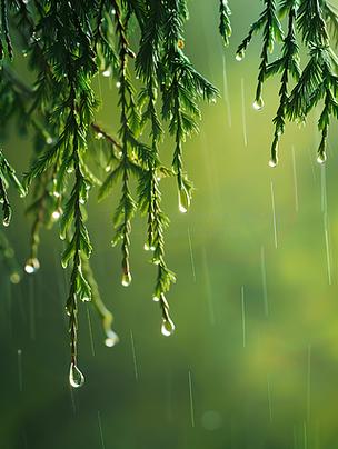 春雨视频素材游戏截图