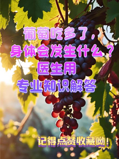 吃葡萄是身体哪个部位缩略图