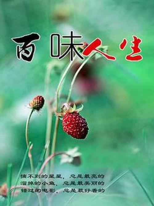 《百味人生》电影缩略图
