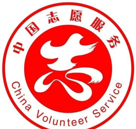 中国志愿者网注册入口图标