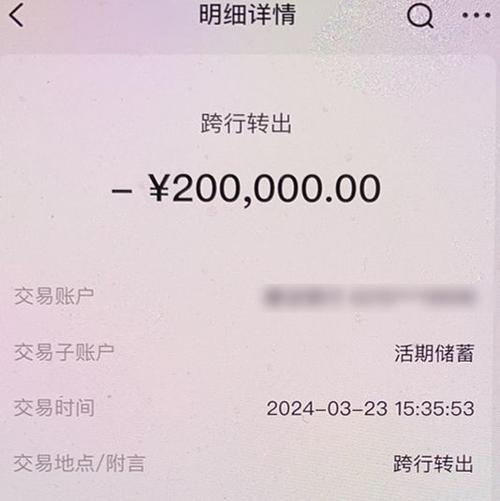 支付宝转账有没有延迟到账截图