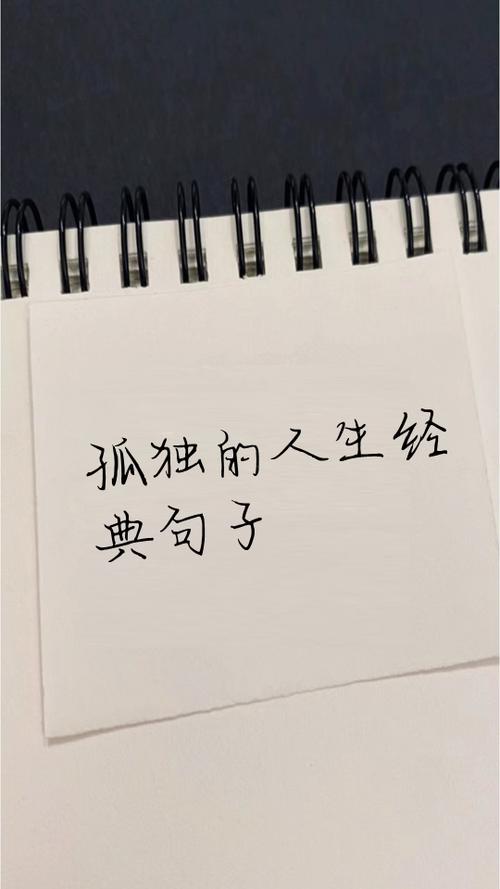 享受孤独的唯美句子缩略图