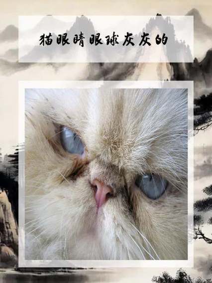 猫抽搐是怎么回事截图