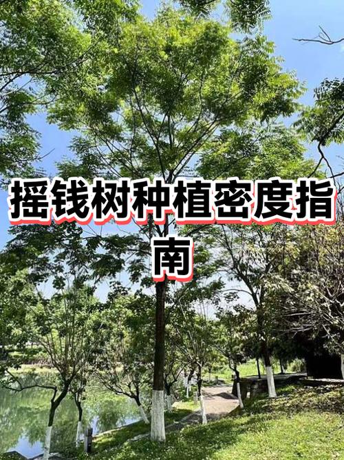 摇钱树种植技巧攻略截图