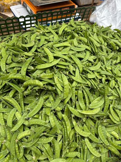 哔哩哔哩老版本豌豆荚