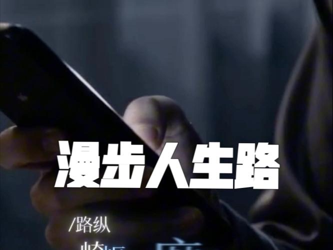 漫步人生路 国语图标