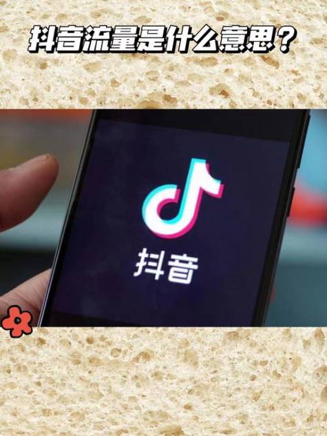 抖抖是抖音吗图标