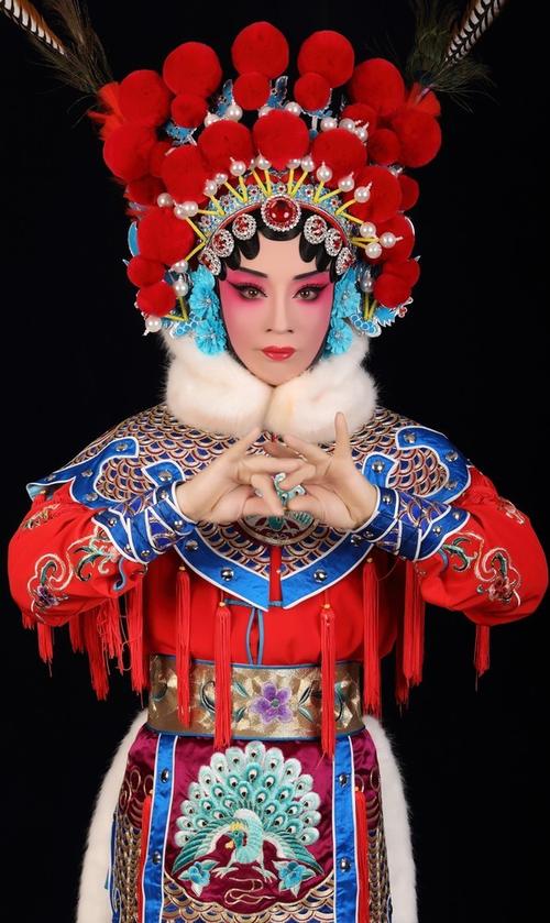 免费戏曲大全视频游戏截图
