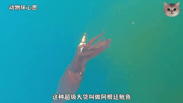 我的世界鱿鱼抓住了女图标