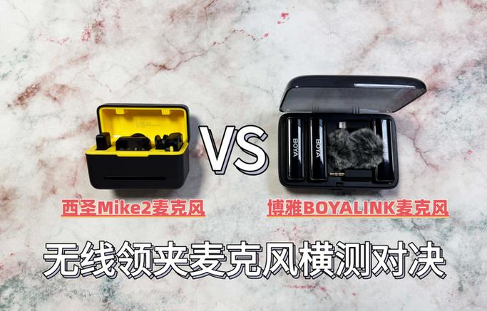 手机主麦克风和副麦克风