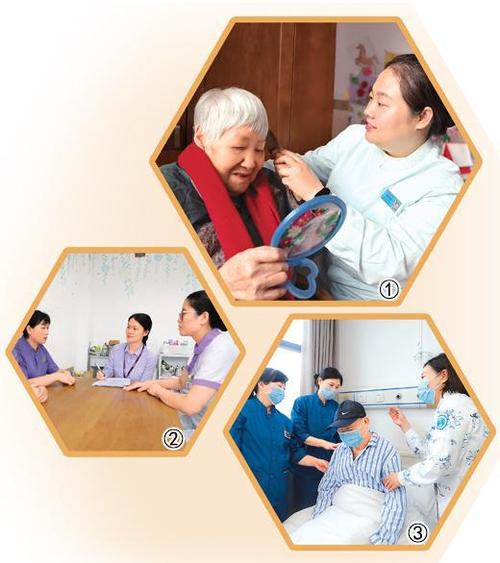 太照护app官方正版图标