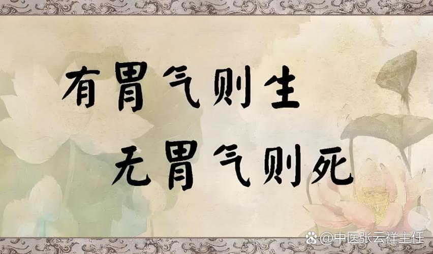 屁放不出来胃气上逆