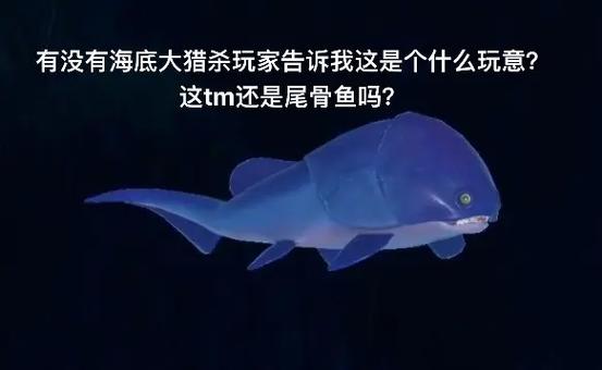 海底大猎杀游戏缩略图
