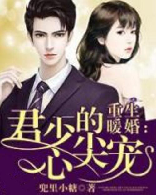 重生暖婚君少的心尖宠截图
