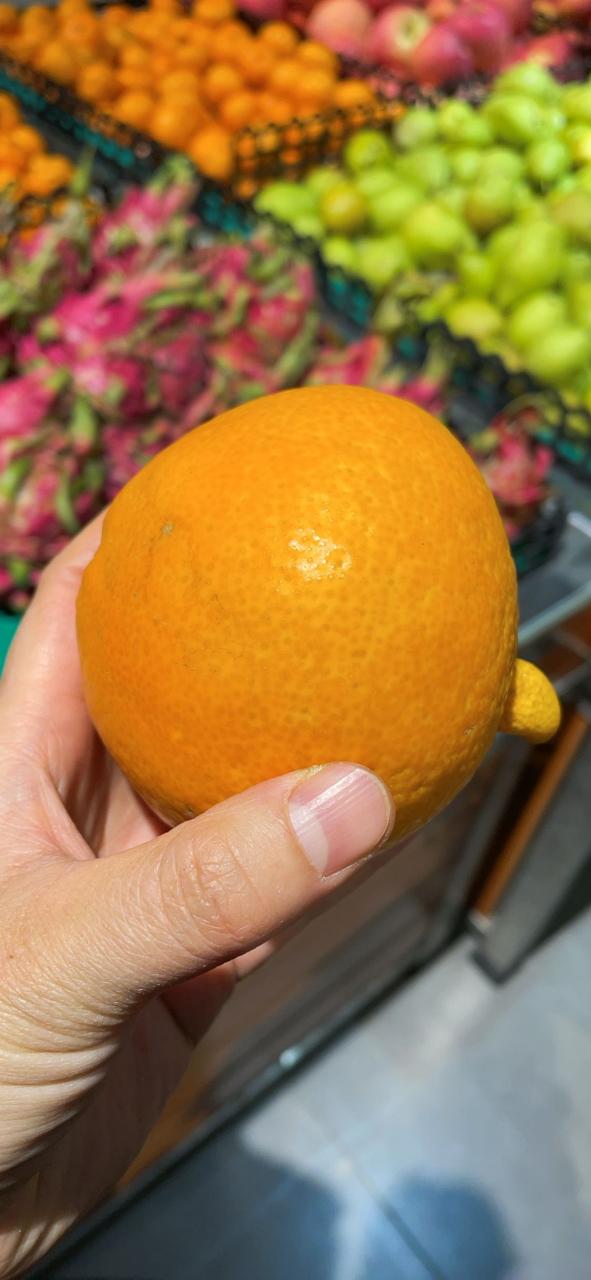 湿热体质可以吃橙子吗图标