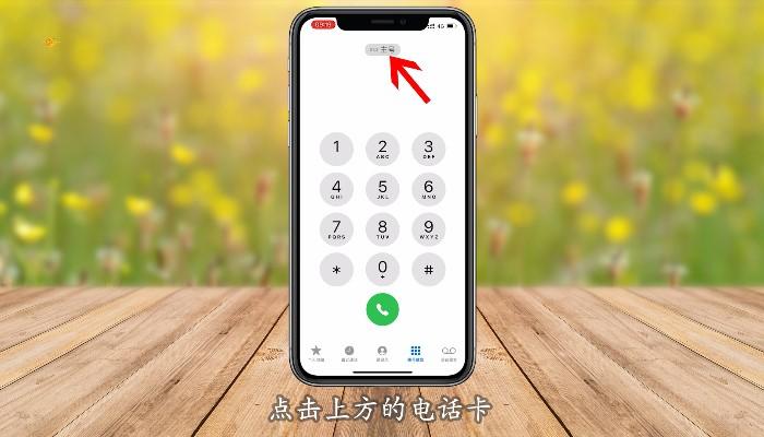 iPhone双卡拨号设置图标