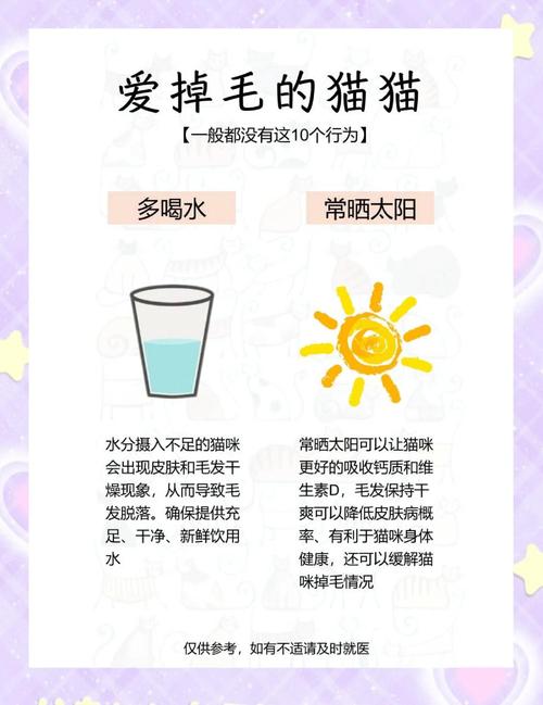 哪种猫掉毛少截图