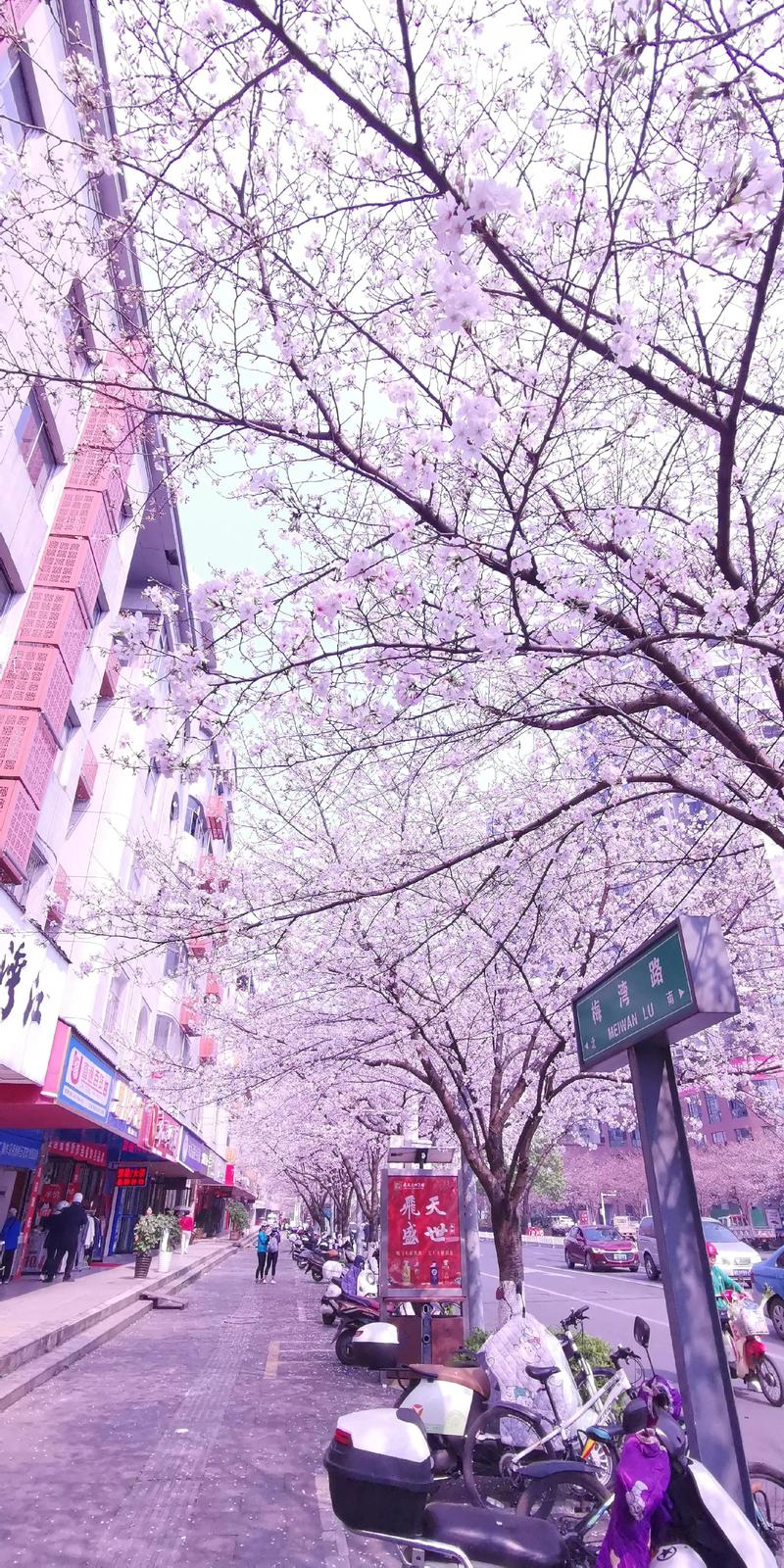 樱花校园之丧尸病毒爆发游戏截图