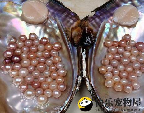 龙珠奶茶里是珍珠吗截图