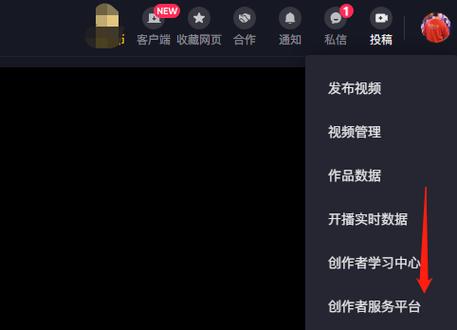 抖音2024年所有旧版本