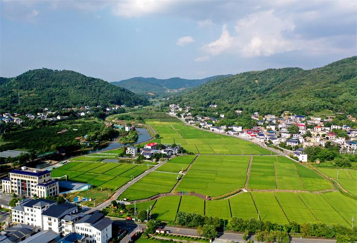 育种村庄安卓版下载