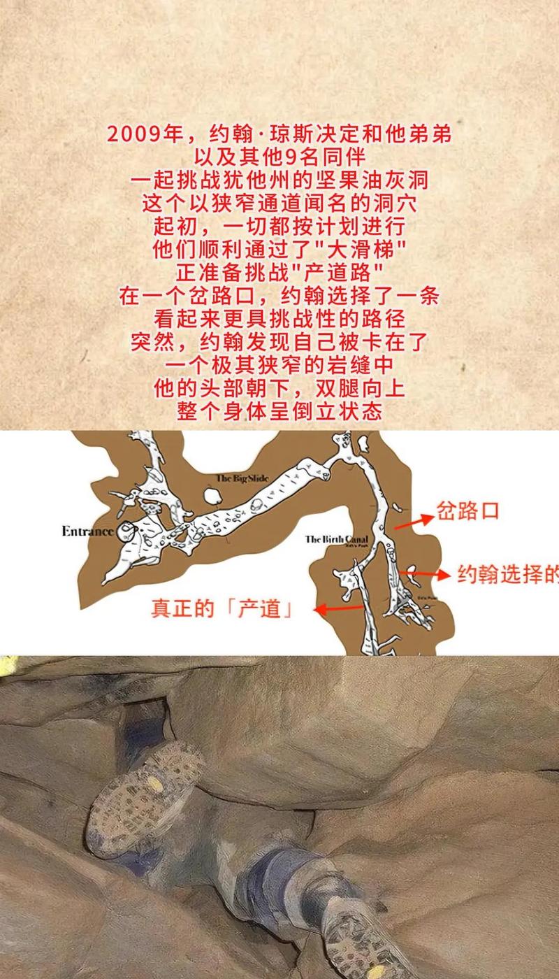 泰拉瑞亚蜘蛛洞可以人造吗游戏截图
