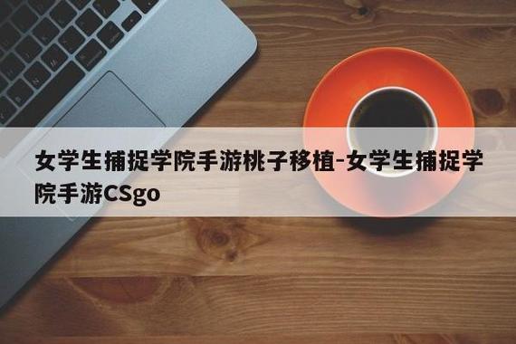 桃子移植放学后的捉迷藏游戏