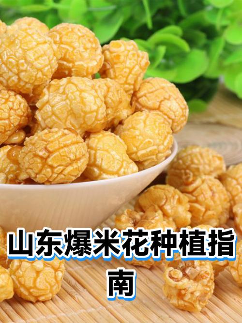 爆米花机器大全和价格 全套