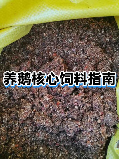 养鹅的正确方法截图
