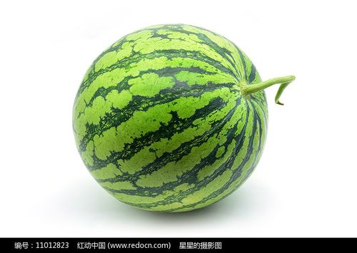 一个大西瓜缩略图