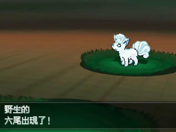 口袋妖怪超透黑2 2.8