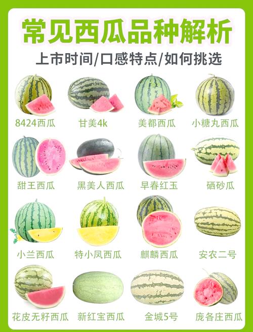 西瓜极速版多少金币等于1元图标