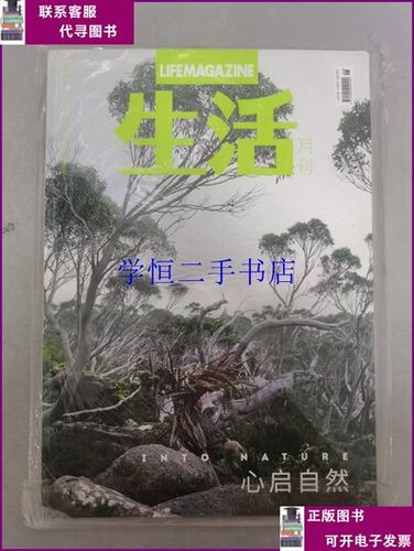 四个字独特AI唤醒截图